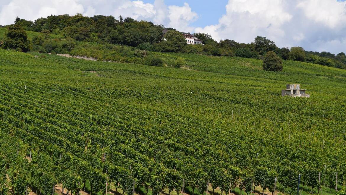 unterwegs sein am 1. Mai 2022 im Rheingau