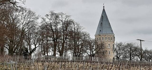 unterwegs sein am 04. Februar 2024 Rundweg in der Flörsheimer Schweiz