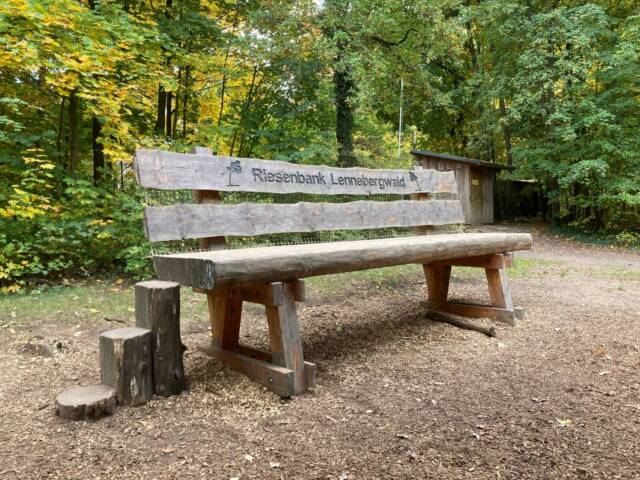 unterwegs sein am 02.11.2025 Lennebergwald