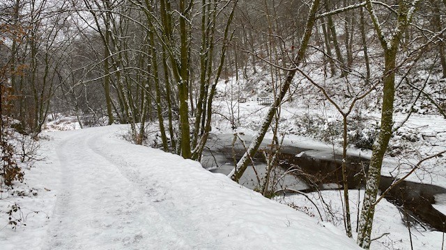 unterwegs sein am 01.02.2026 Rundtour ‚Rauenthaler Spange‘