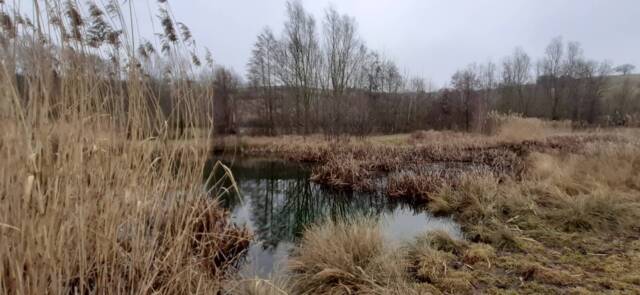 unterwegs sein am 01.03.2026 Welzbachtal in Rheinhessen