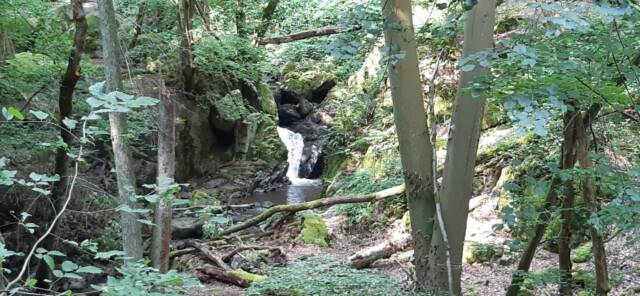 unterwegs sein am 02.08.2026 Morgenbachtal im Binger Wald