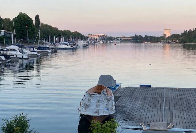 unterwegs sein am 04.10.2026 Naturschutzgebiet Niederwallufer Bucht, Schiersteiner Hafen